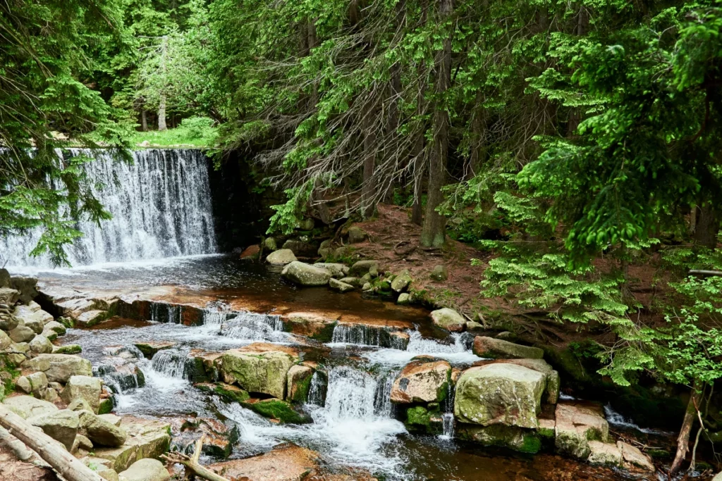 waterfall in lomnica river karpacz